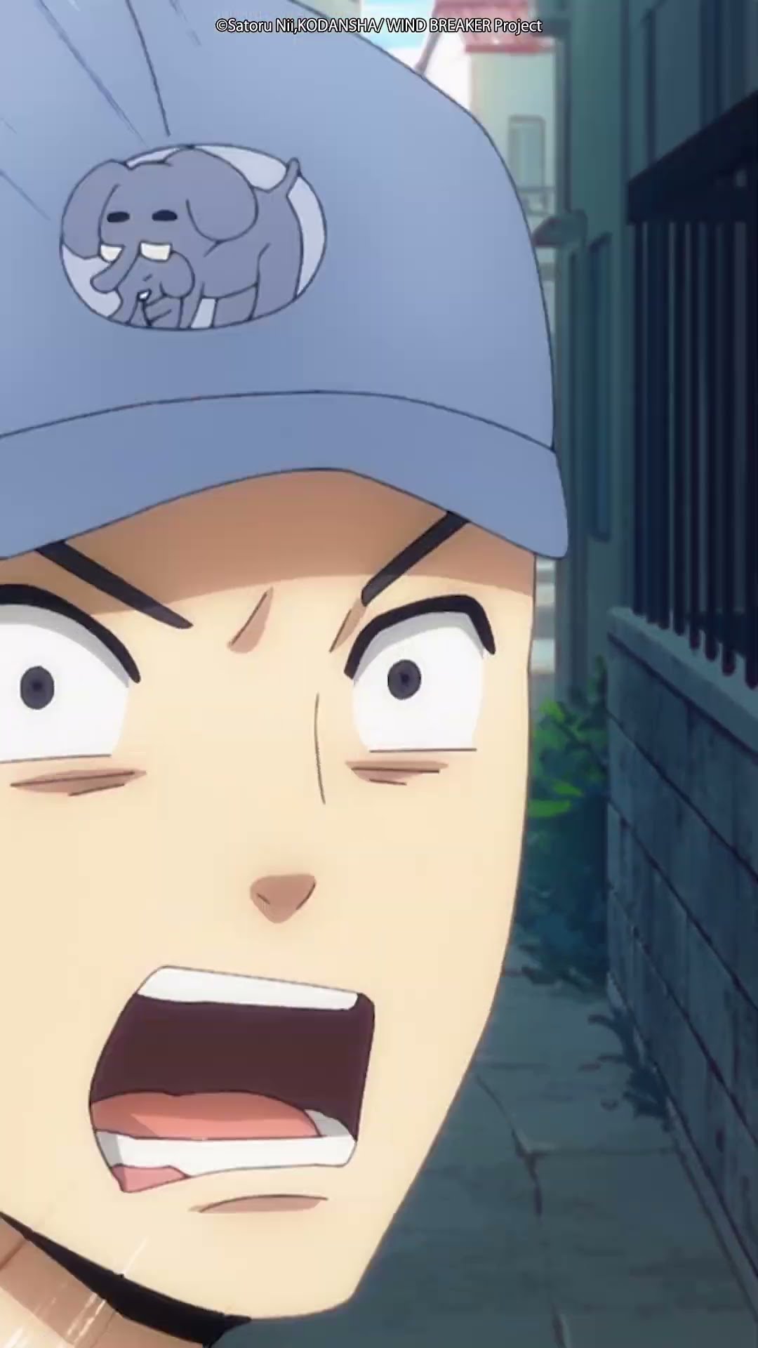 Professional cat catcher ??? #WINDBREAKER #windbreakeranime #shorts #animemoments